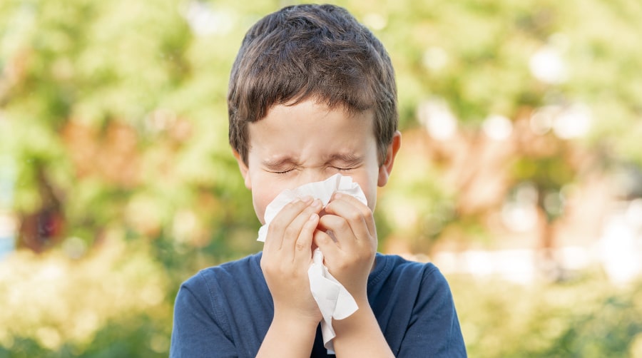 Аллергены (антитела внешней среды) как причина кашля